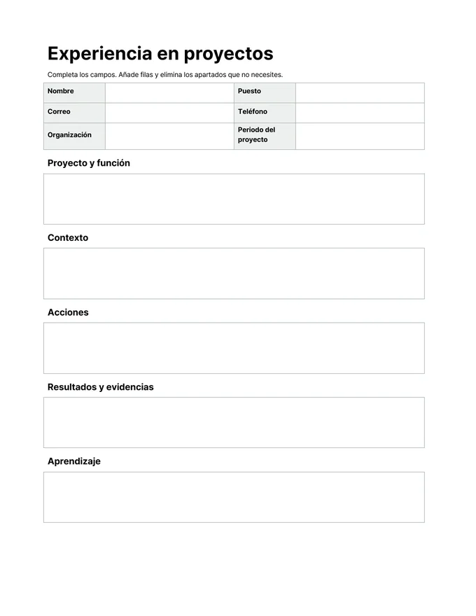 Plantilla de experiencia en proyectos — Vista previa del documento real